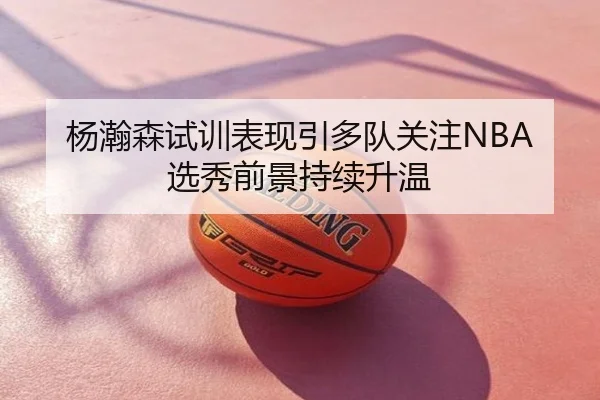 杨瀚森试训表现引多队关注NBA选秀前景持续升温