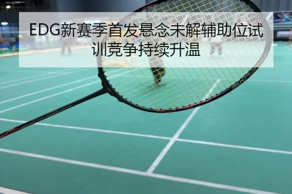 EDG新赛季首发悬念未解辅助位试训竞争持续升温